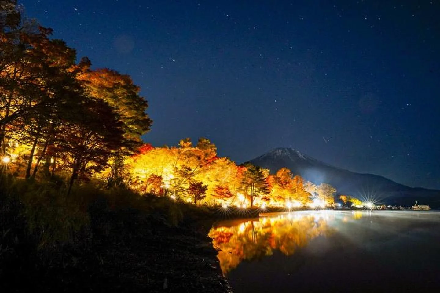 夜にライトアップされた山中湖畔の紅葉と富士山